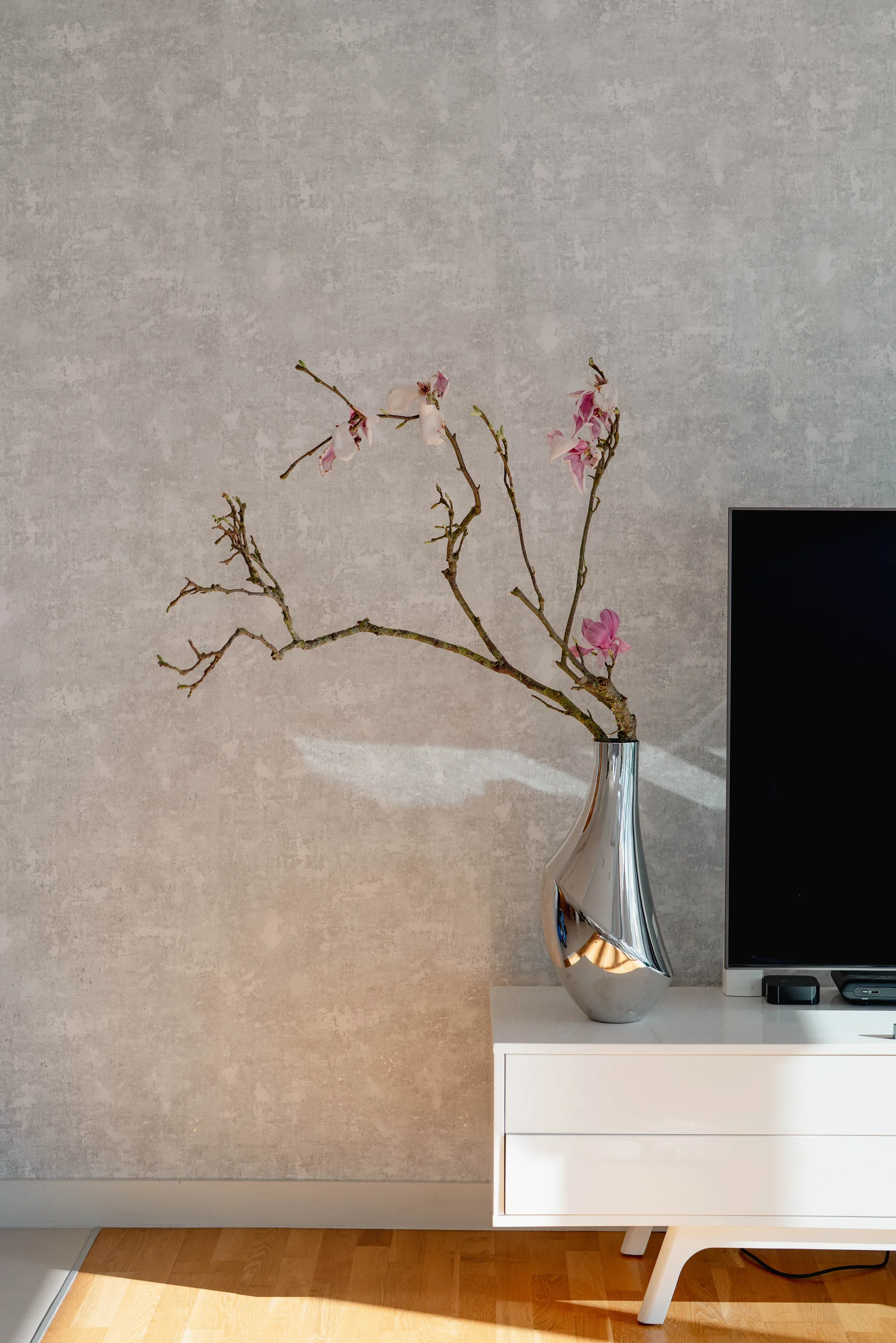 Living Room TV Stand