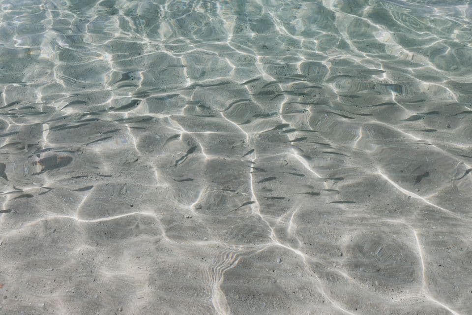 Sunlight rippling through clear shallow water over sand.