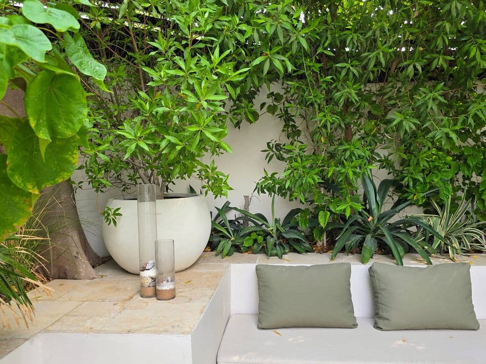 A garden seating corner with sage cushions, stone planters and dense green planting.