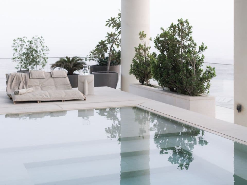 A rooftop pool with a cushioned daybed and potted olive trees beside a white column.