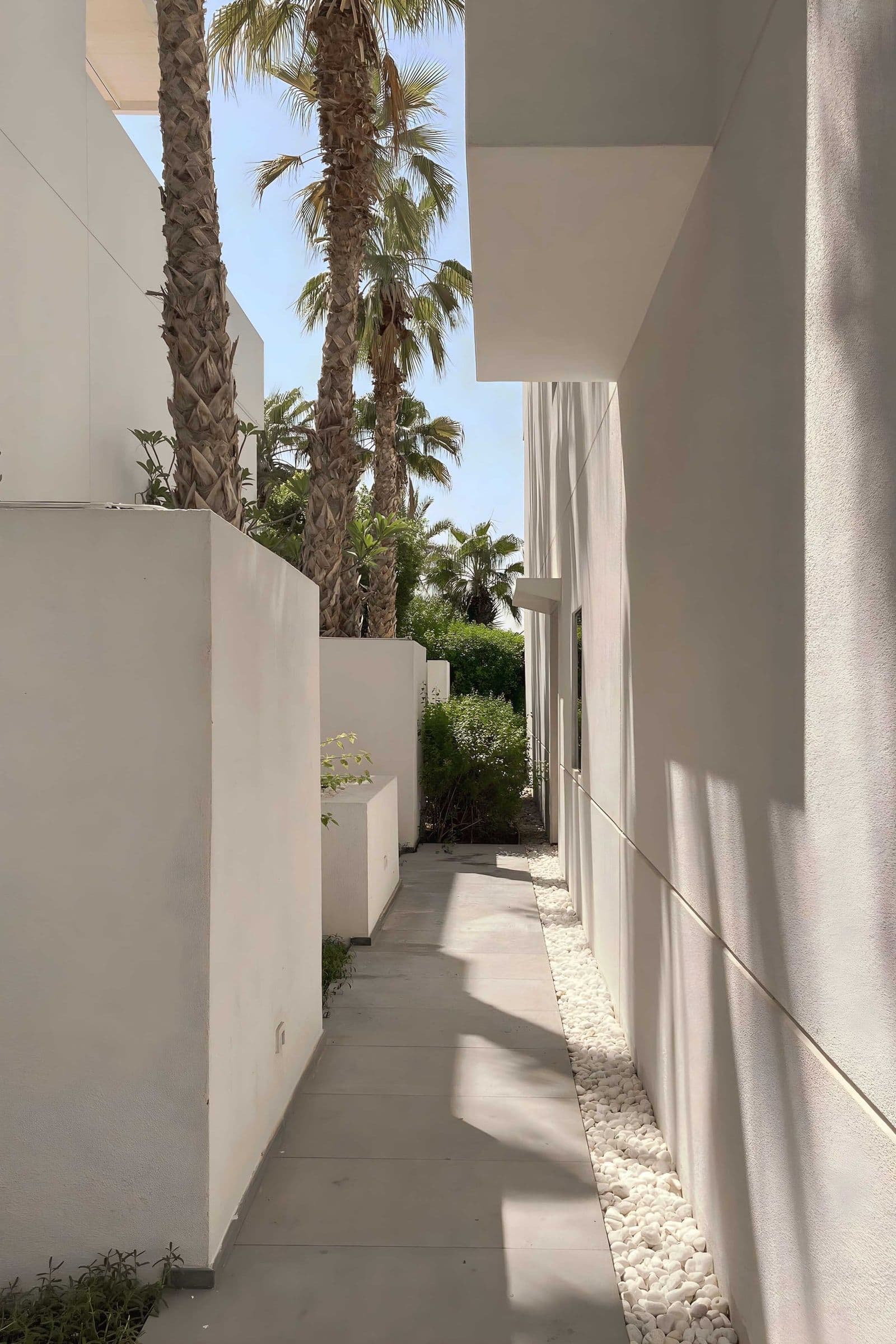 A narrow passage between white-rendered villa walls, with palm trees overhead.